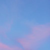 雑談、お絵描き好きな人集まれ〜！