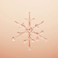 独言～ﾋﾄﾘｺﾞﾄ～【難病・持病・病気の方限定】