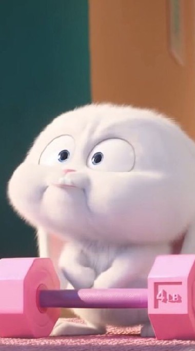 แก็งอนุบาลหมีน้อย