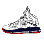 2012_LeBron X_01
