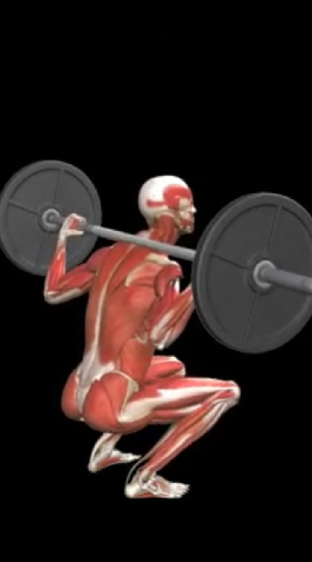 personal trainer