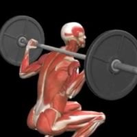 personal trainer
