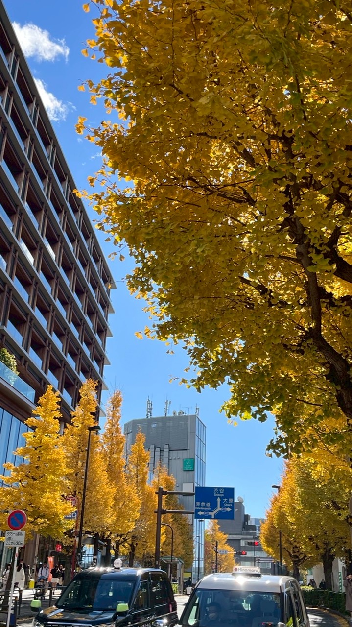 11/26-11/27🇯🇵 木木家の連線代購🌰