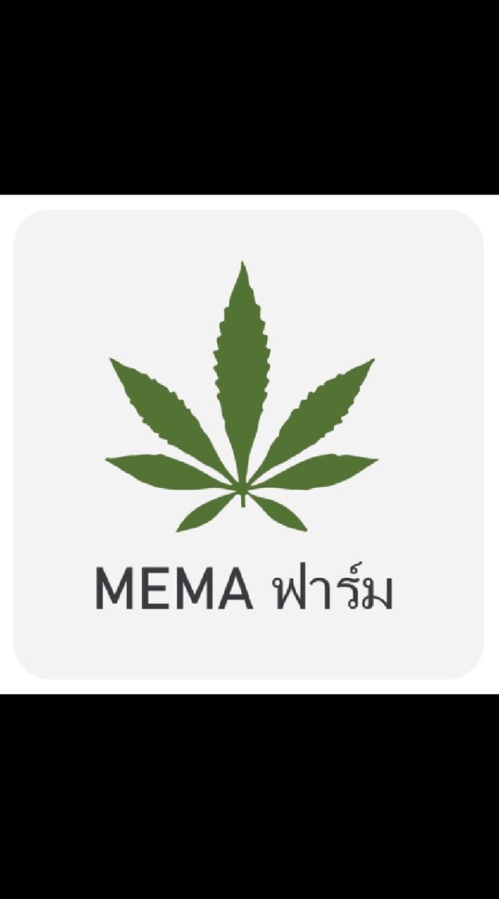 MEMA OpenChat