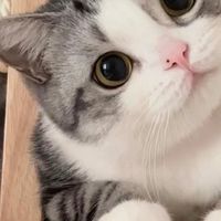 數學真有趣