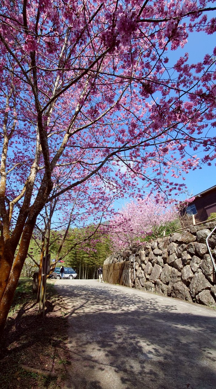 東明114-703班級社群