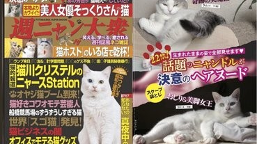 美臀長腿看個夠，奇跡的美魔貓降臨《週貓大衆》創刊號