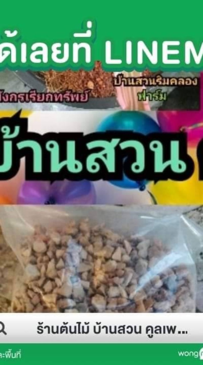 ต้นไม้ บ้านสวน คูลเพช