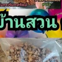 ต้นไม้ บ้านสวน คูลเพช