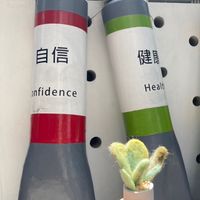 歡樂民族