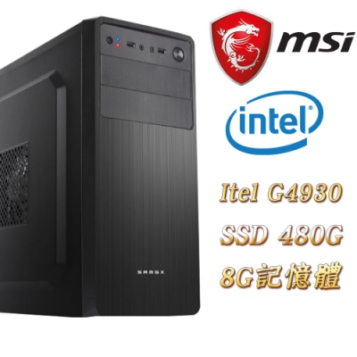 Intel G4930 H310M PRO-VDH 8G DDR4 2666 SSD 480G