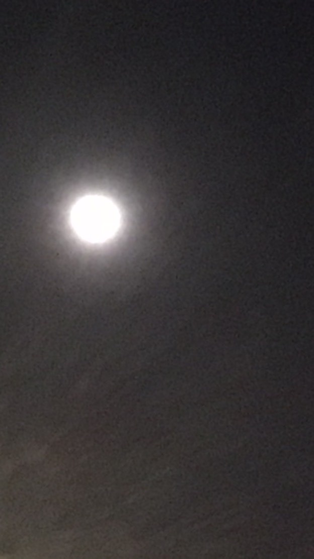 外星人集合站