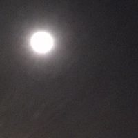 外星人集合站
