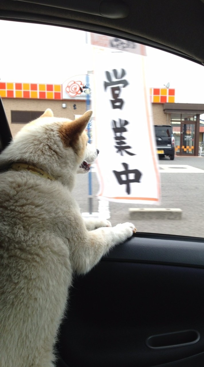 愛媛東予中予40代からの友達作り🍀