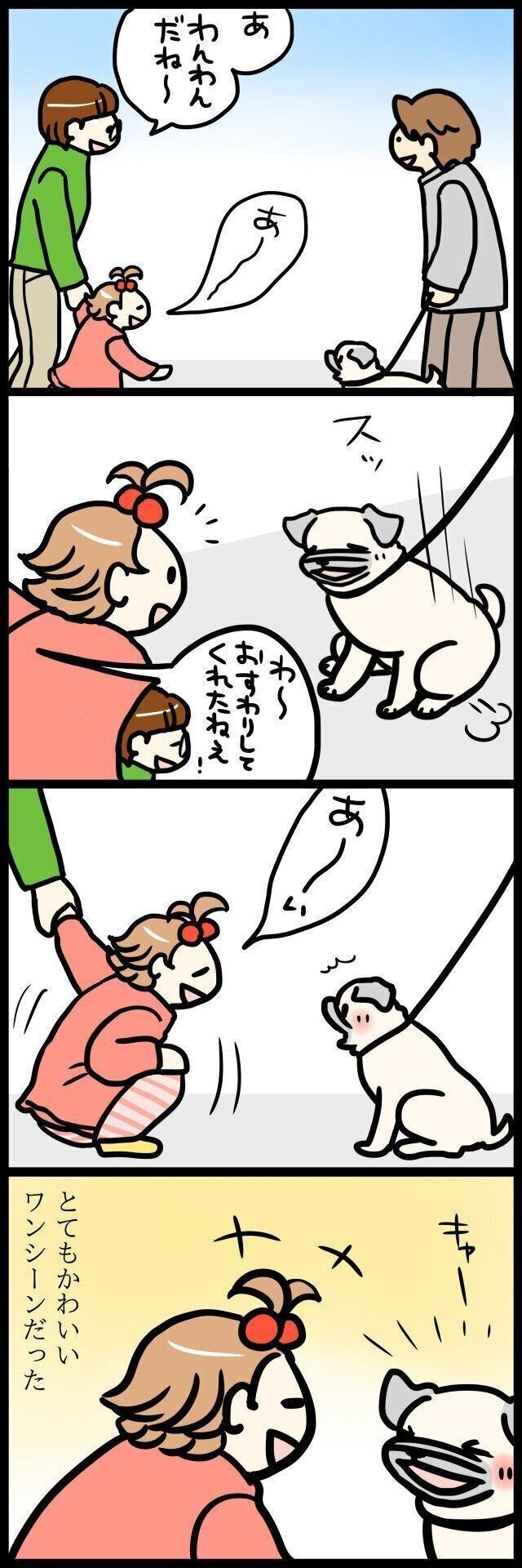 犬の 多頭飼い 経験者が語るリアルな体験談が参考になる いぬのきもちnews