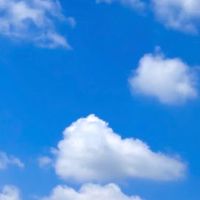 中高生限定！！雑談などなど！色々話そ〜！