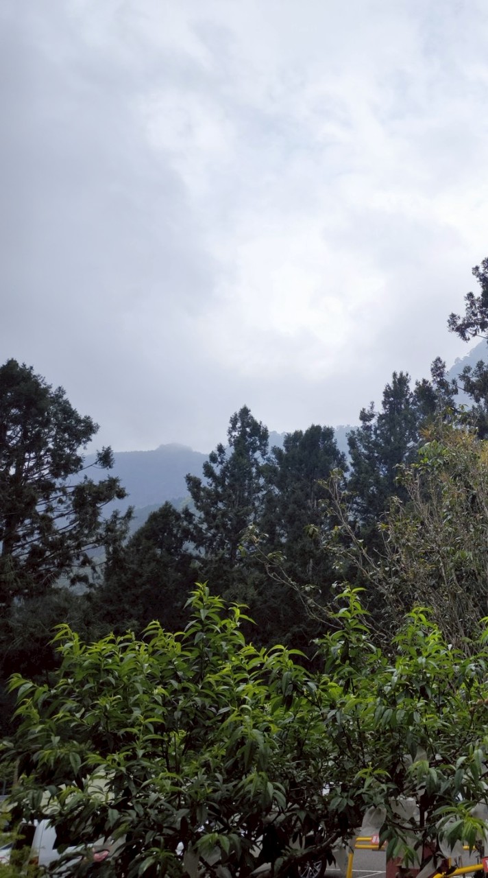 阿丹“溪頭最順路團購站 🌿 爬山健走＆養生私房貨”