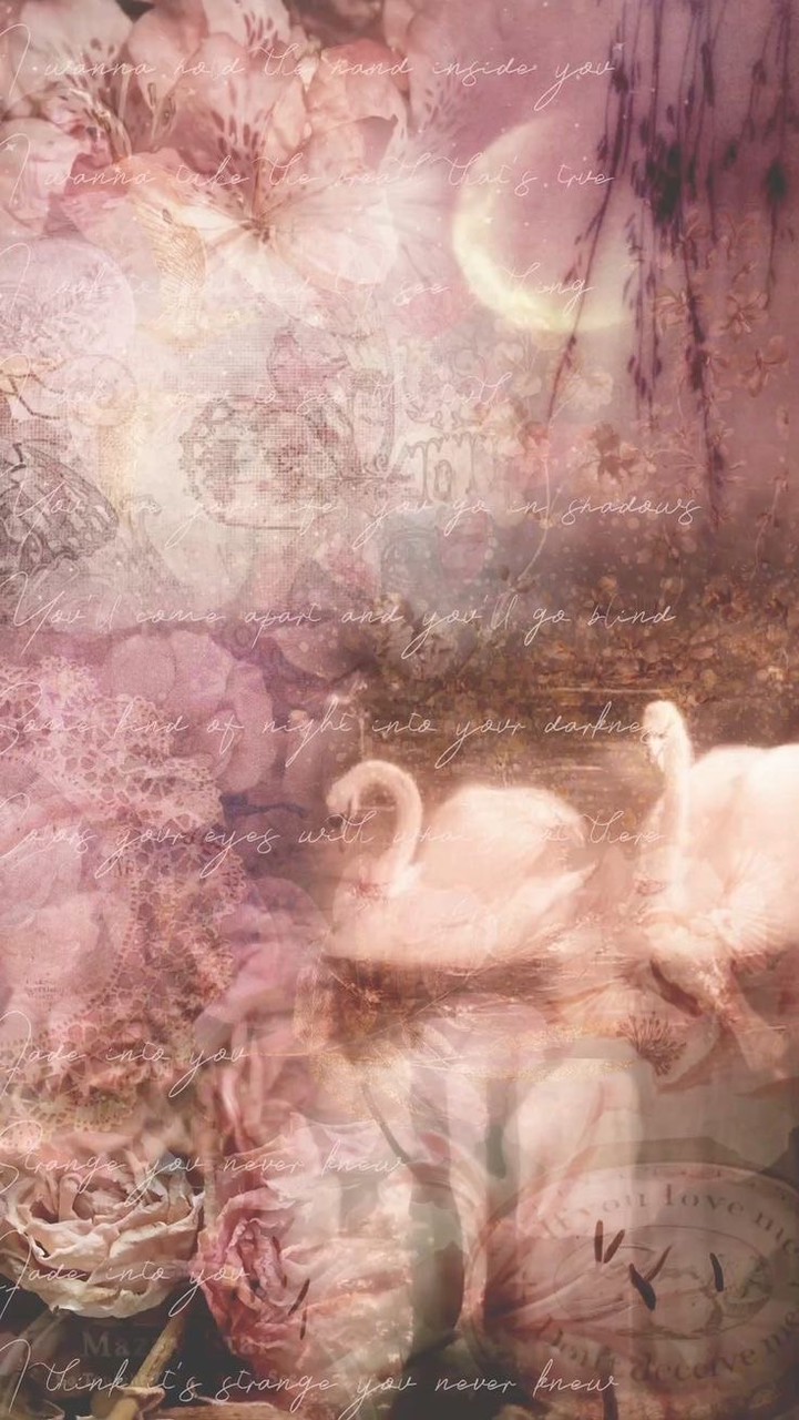𝙿𝚊𝚕𝚎𝚝𝚝𝚎  ＊ 全緩ハント