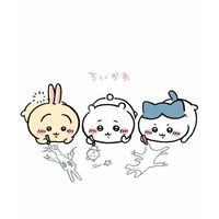 毛吉🌰佛系吉伊卡哇代購