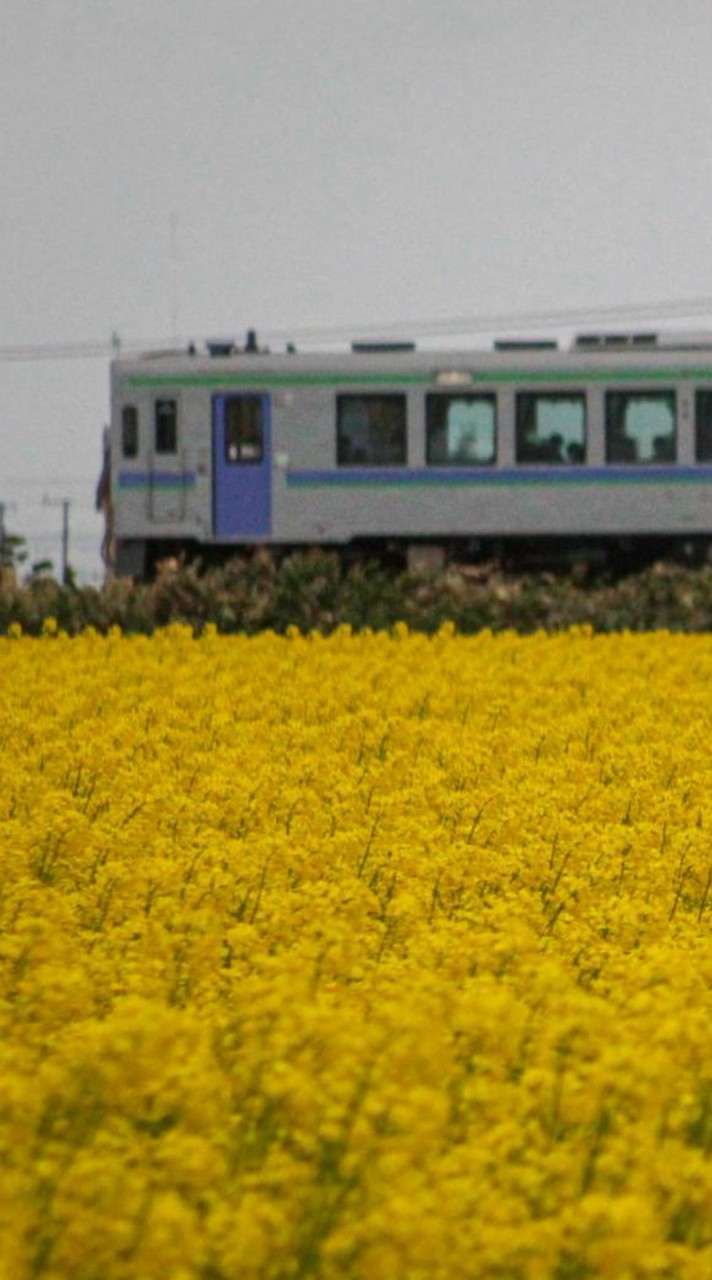 【マイクラ】天野鉄道　参加勢募集中！