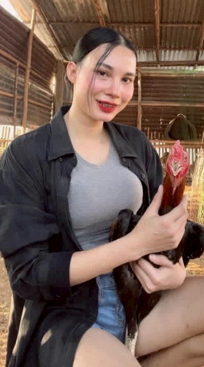 ผู้สาวมักไก่ ทรงชัยฟาร์ม