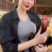 ผู้สาวมักไก่ ทรงชัยฟาร์ม