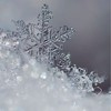 折恋♥ ❄︎.* あつまれ白雪学園.ᐟ.ᐟ𓂃𓈒 ❅ *🔔𓈒𓂂𓇬