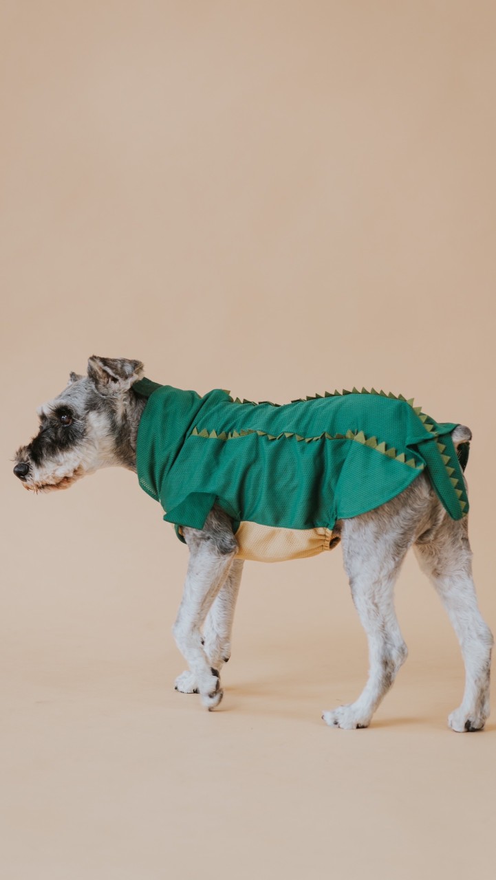嘟嘟媽の雪寶選物🐶