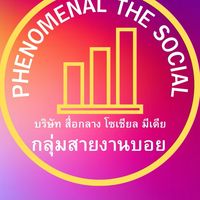 กลุ่มสายงานของบอย