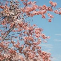 旅遊資訊報你知
