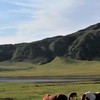 ms.lee九州｜熊本·福岡•廣島代購