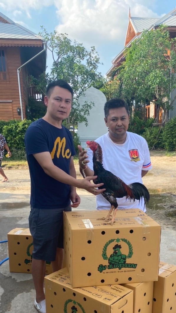หนึ่งภูซาง สายเสือด ส มีสุวรรณ