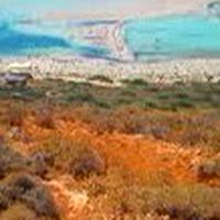 LAGOON