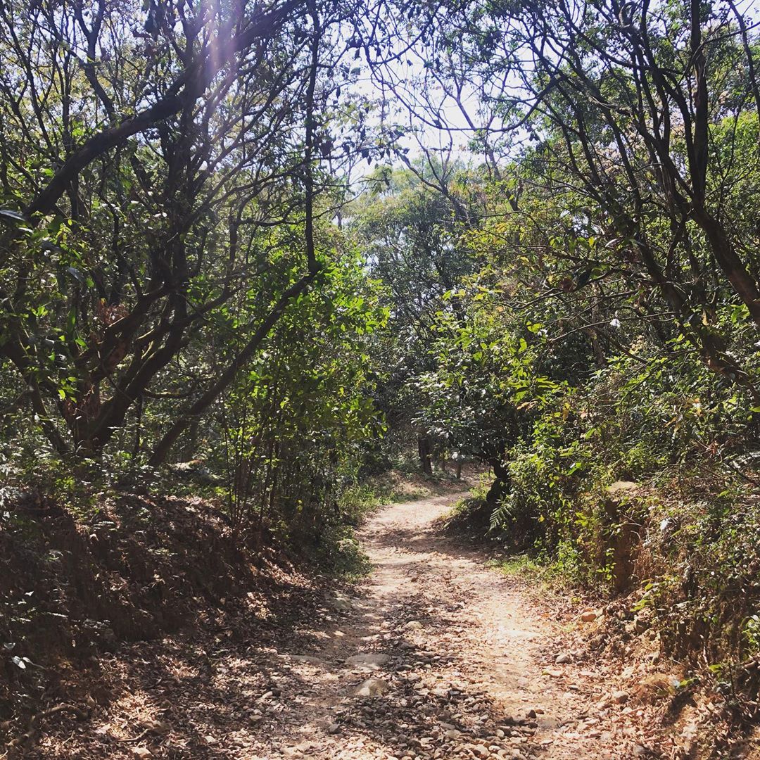 屏東「拾美步道群」介紹｜屏東10條森林秘境登山步道介紹看這篇