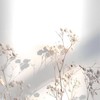 和興水岸