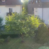 德國Stuttgart生活停看聽（7/13_8/9)_親友團_7/31前告知