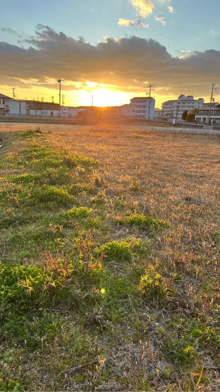 淡路島イベント出店者募集！