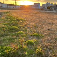 淡路島イベント出店者募集！