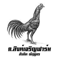 ก.สิงห์เจริญฟาร์ม สังกัด ณัฏฐกร