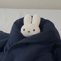 ドラマ共有