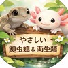 🦎爬虫類・両生類のお部屋🦎（ヤモリ・ウーパールーパー・初心者さん歓迎）