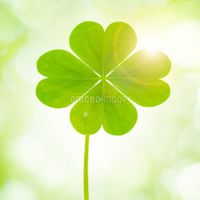 キャンプ大好き🍀🌷車中泊大好き❤キャンプに恋する40代からのℝ𝕠𝕠𝕞🏡