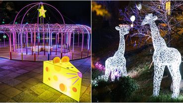 動物園開了！新竹「城市躲貓貓」燈展直到農曆年節，8項特色燈飾、必看主燈在市立公園！