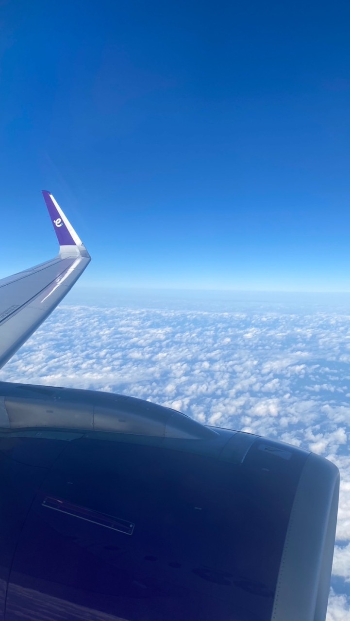 桑尼🌞的旅行✈️買買買