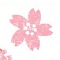 2024年度卒園児グループ🌸