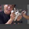 変人の巣