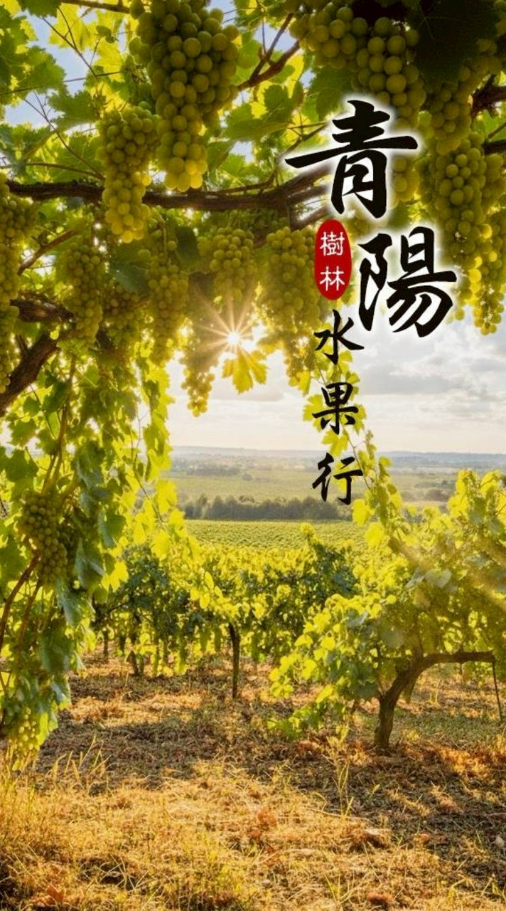 青陽水果行