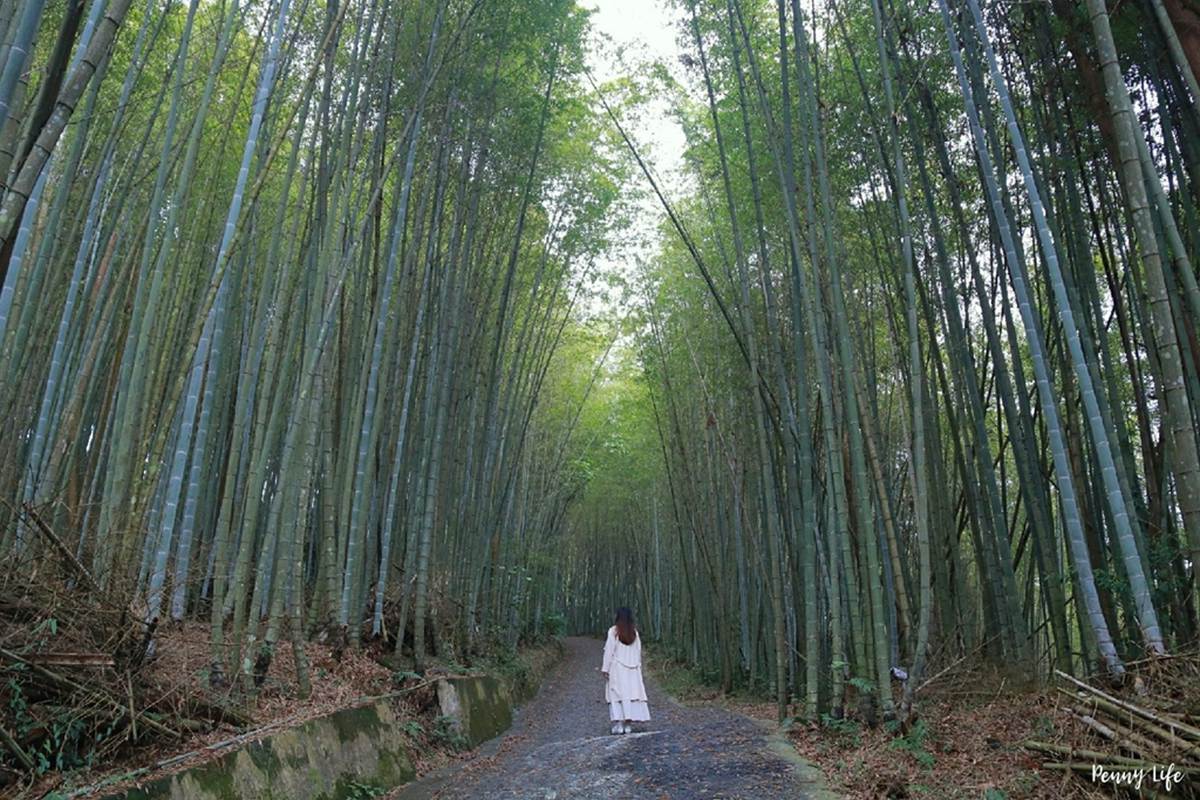 秒飛京都嵐山！北中南８大竹林景點：廢棄鐵牛車祕境、《臥虎藏龍》場景重現
