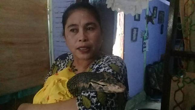 Wow! Buat Geger Dunia Maya, Wanita Asal Sulsel Ini Mengaku Lahirkan Bayi Biawak!