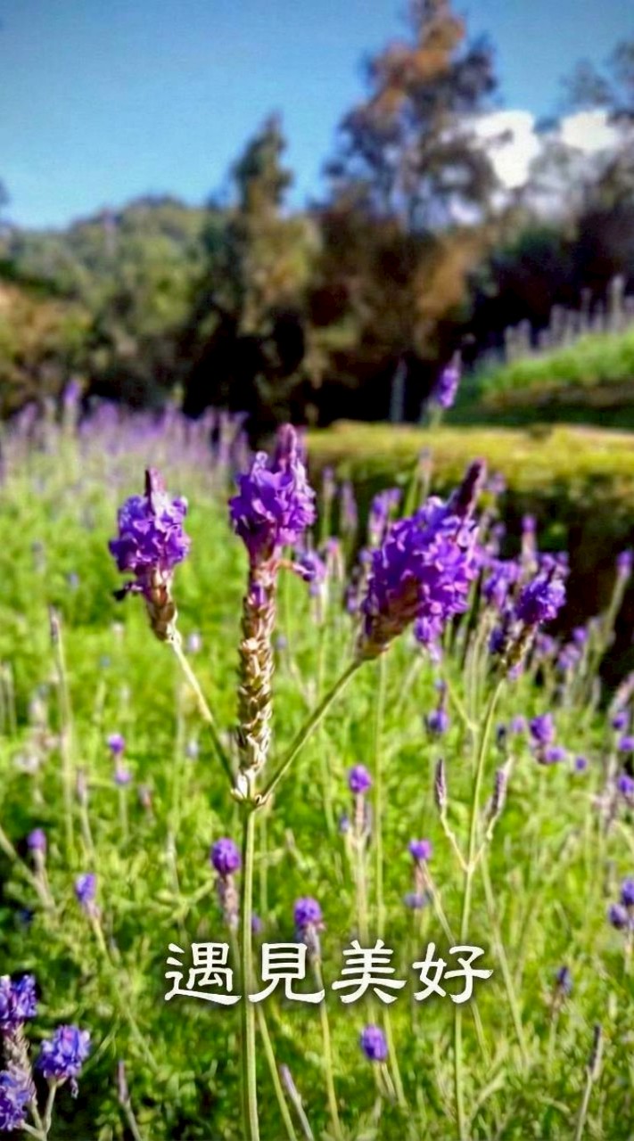 光禾植所|植感生活學